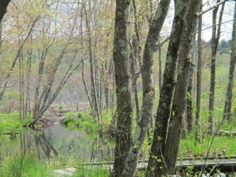 288 Ayer Rd, Harvard, MA 01451 photo 2