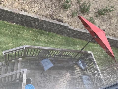 1 Longview Cir #B, Ayer, MA 01432 photo 18