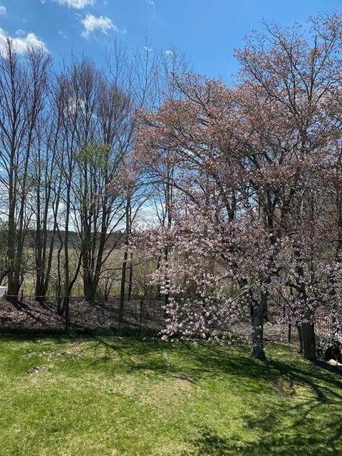 150 Standish Rd, Needham, MA 02492 photo 28