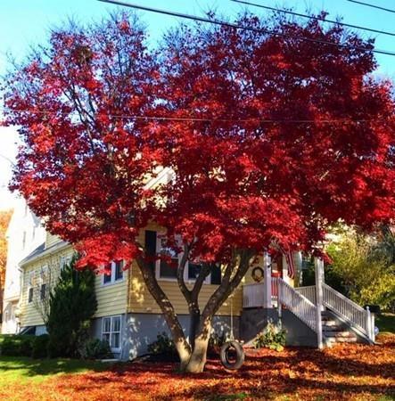 25 Fleming St, Dedham, MA 02026 photo 26