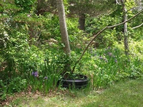 196 Great Neck Rd, Wareham, MA 02571 photo 19
