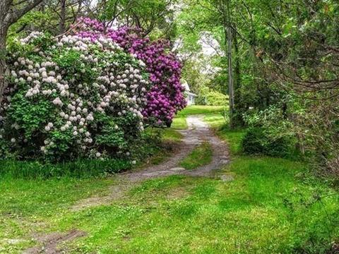196 Great Neck Rd, Wareham, MA 02571 photo 21