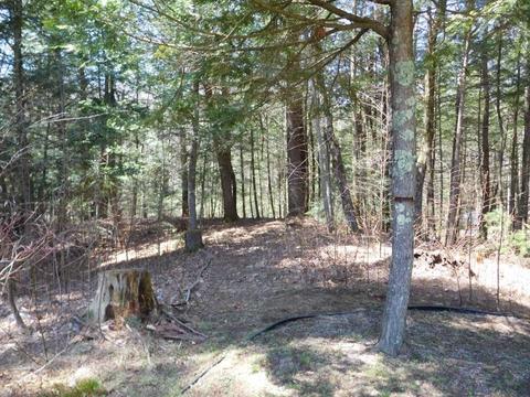 40 Carillon Cir, Easthampton, MA 01027 photo 9