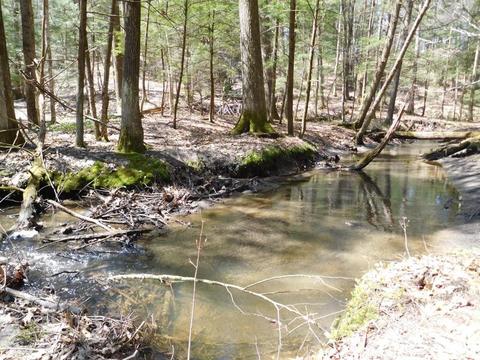 40 Carillon Cir, Easthampton, MA 01027 photo 10