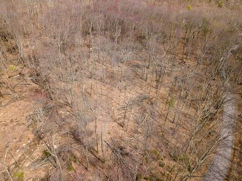 3 Ledgestone Rd, Douglas, MA 01516 photo 3