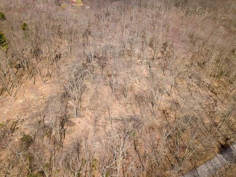 3 Ledgestone Rd, Douglas, MA 01516 photo 4