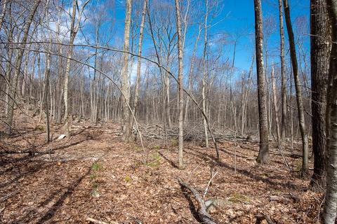 3 Ledgestone Rd, Douglas, MA 01516 photo 1