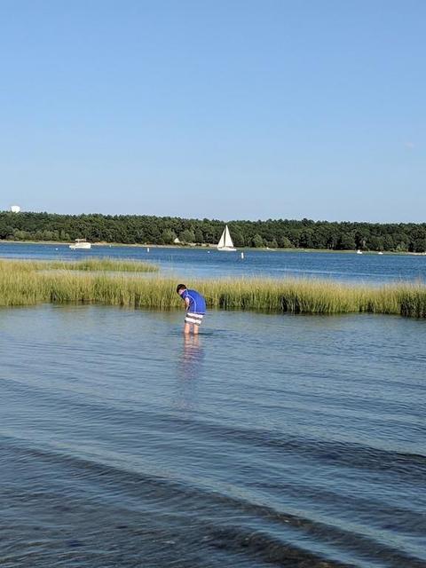 9 Circle Dr, Wareham, MA 02571 photo 33
