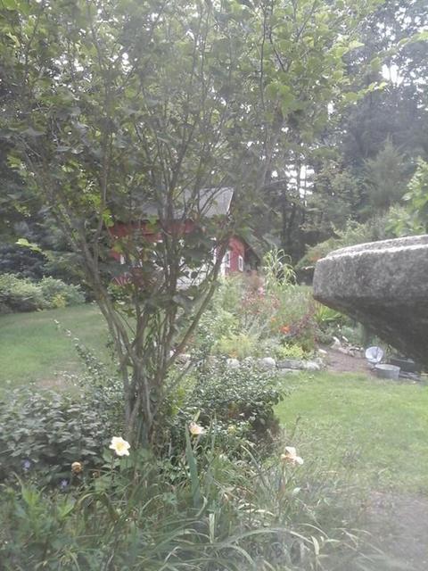 168 Ryan Rd, Northampton, MA 01062 photo 19