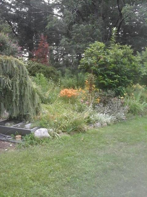 168 Ryan Rd, Northampton, MA 01062 photo 20
