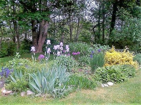 3310 Main St, Barnstable, MA 02630 photo 39