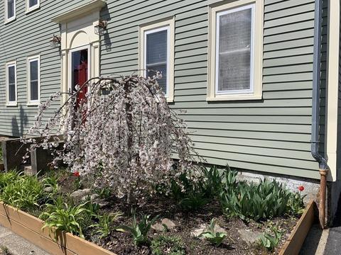 25 Exchange St, Gloucester, MA 01930 photo 2