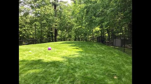 16 Cadman Rd, Mendon, MA 01756 photo 40