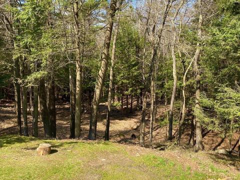 2070 Old Keene Rd, Athol, MA 01331 photo 33
