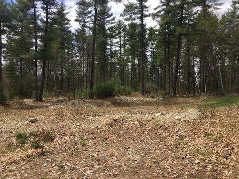 106 High St, Dunstable, MA 01827 photo 4
