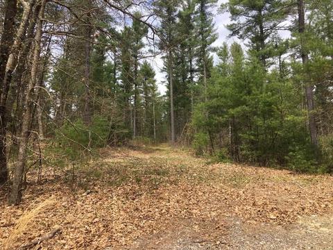 106 High St, Dunstable, MA 01827 photo 1