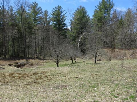 10 Monument St, Plainfield, MA 01070 photo 2