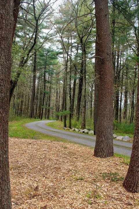 525 Cedar St, Walpole, MA 02081 photo 5