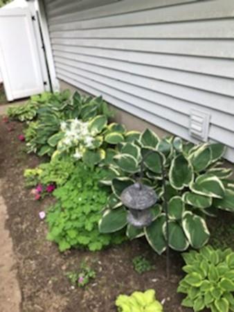 20 Dutton St, Springfield, MA 01151 photo 34