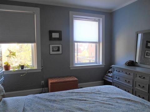 36 Elm St #2, Worcester, MA 01609 photo 19