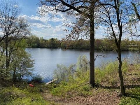 244 Arcadia Blvd, Springfield, MA 01118 photo 18