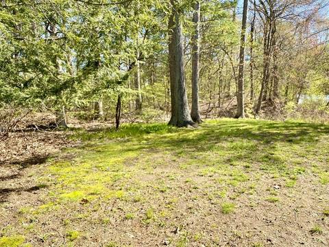 9 Thomas Dr, Franklin, MA 02038 photo 35