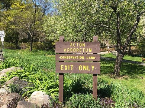 30 Taylor Rd, Acton, MA 01720 photo 40