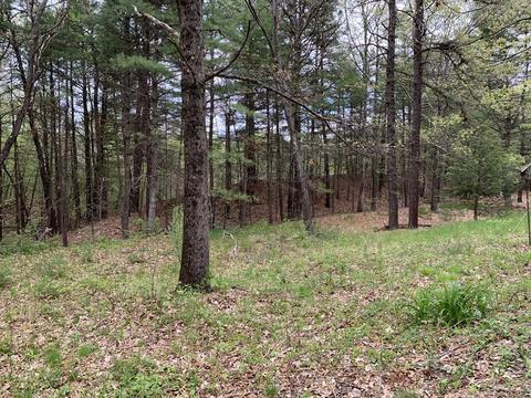 111 West St, Berlin, MA 01503 photo 34