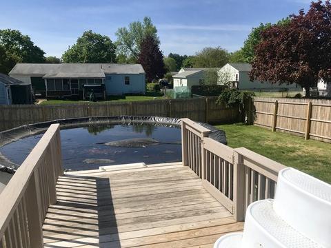 16 Birch Glen Dr, Springfield, MA 01119 photo 26