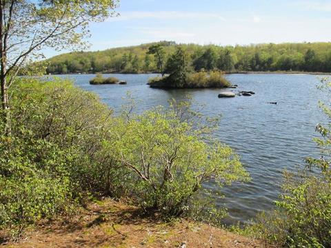 15 Old Barre Rd, Phillipston, MA 01331 photo 16