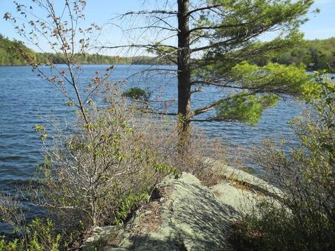 15 Old Barre Rd, Phillipston, MA 01331 photo 20