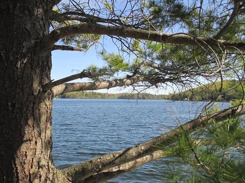 15 Old Barre Rd, Phillipston, MA 01331 photo 21
