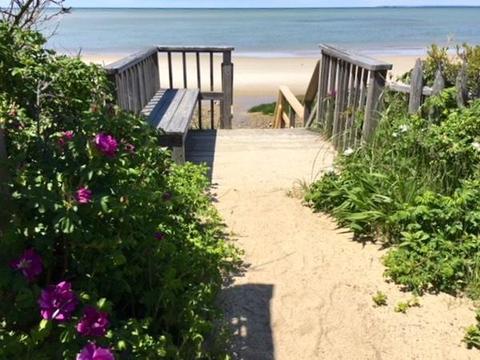 52 Sears Rd, Brewster, MA 02631 photo 28