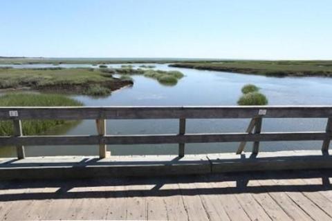 113 4th St, Wellfleet, MA 02667 photo 22