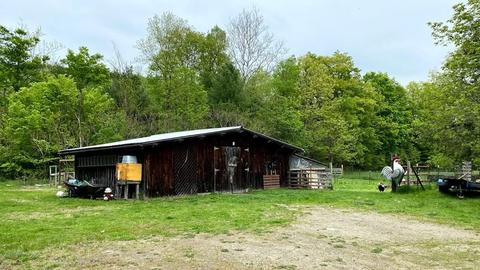21 Heath Rd, Colrain, MA 01340 photo 17