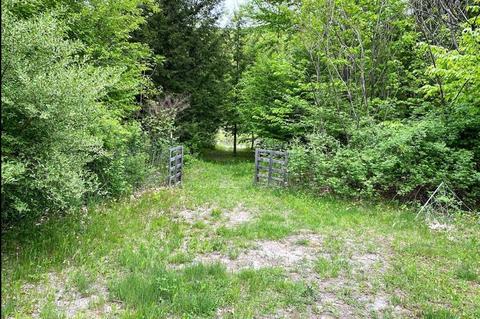 21 Heath Rd, Colrain, MA 01340 photo 26