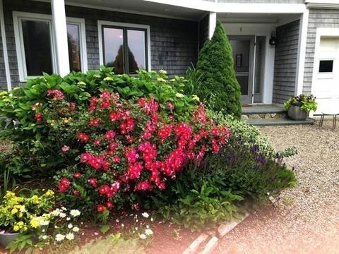 5 Gull Ln, Wareham, MA 02571 photo 12