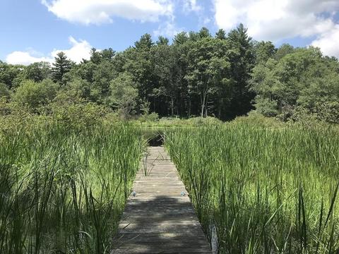 25 Smith St, Dover, MA 02030 photo 39