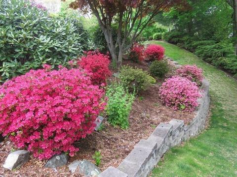 8 Patrick Cir, Stoneham, MA 02180 photo 30