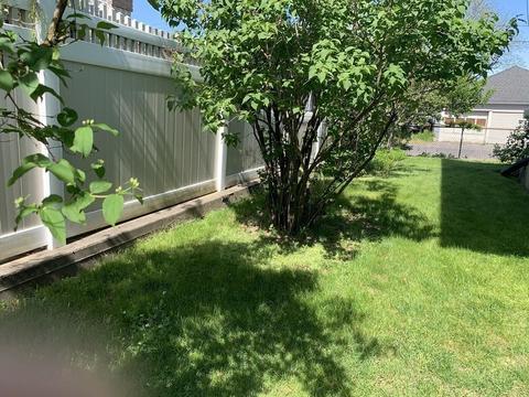 25 Cedar St, Ludlow, MA 01056 photo 26