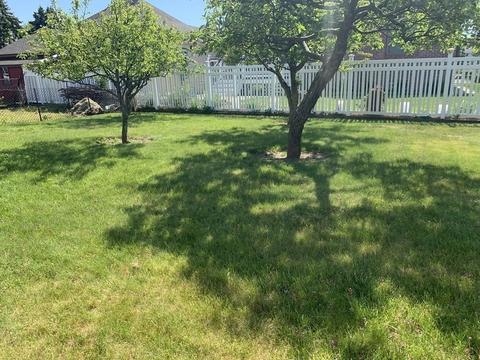 25 Cedar St, Ludlow, MA 01056 photo 25