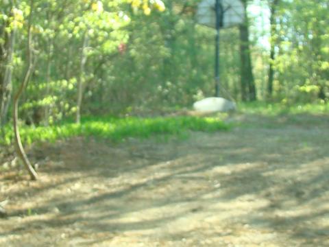 50 Whitney St, Phillipston, MA 01331 photo 8