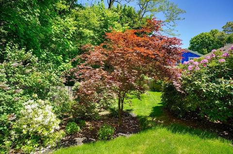 31 Apache Trl, Arlington, MA 02474 photo 35