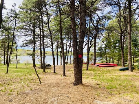20 Spring Tide Ln, Eastham, MA 02642 photo 22