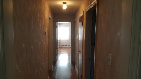 21 Trinity Ave, Worcester, MA 01605 photo 8