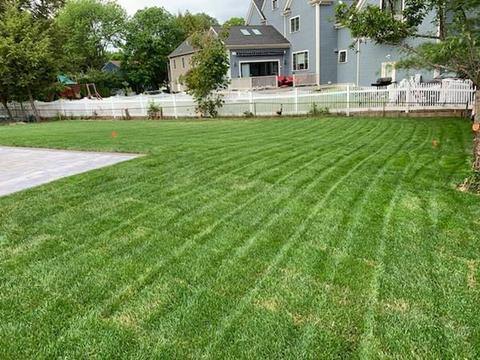 103 Nardone Rd, Needham, MA 02494 photo 3