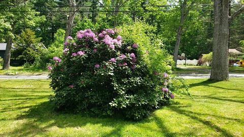 74 Beaver Lake Rd, Ware, MA 01082 photo 22