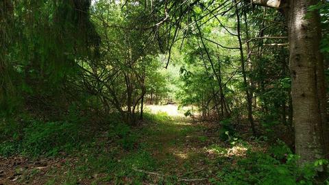 74 Beaver Lake Rd, Ware, MA 01082 photo 17