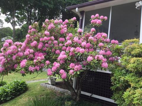 11 Spring St, Ipswich, MA 01938 photo 22