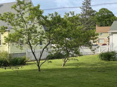 36 Park Ave, Webster, MA 01570 photo 10